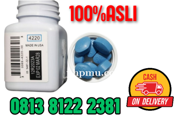 Jual Viagra Asli Di Makassar 081381222381 (100mg) Obat Kuat Viagra Asli