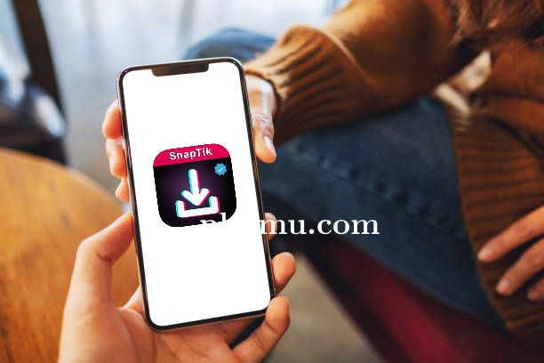Cara Pakai SnapTik untuk Download Video TikTok Challenge Viral